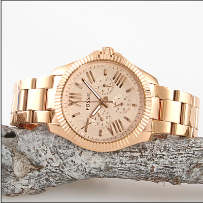 Fossil AM4569
